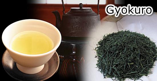 Gyokuro “hoàng hậu của các loại trà” tại Nhật Bản