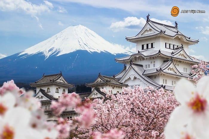 Núi Phú Sĩ và hoa anh đào là biểu tượng của Nhật Bản