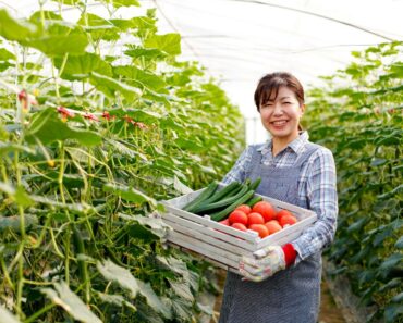 Xuất khẩu lao động Hàn Quốc 2024: Thực hiện giấc mơ thực tế