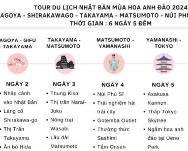 Tour Du Lịch Nhật Bản: Mùa Hoa Anh Đào